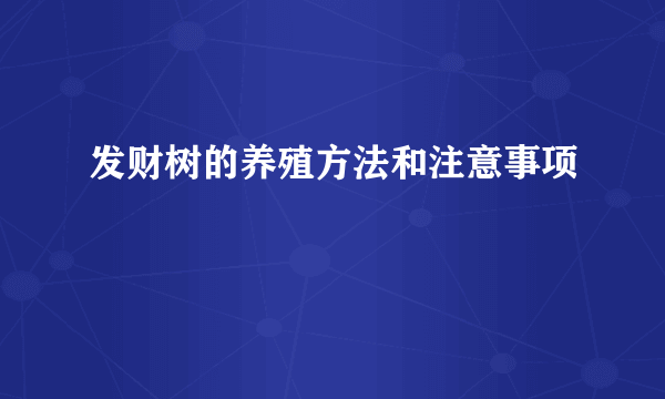 发财树的养殖方法和注意事项