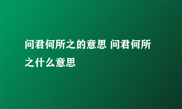 问君何所之的意思 问君何所之什么意思