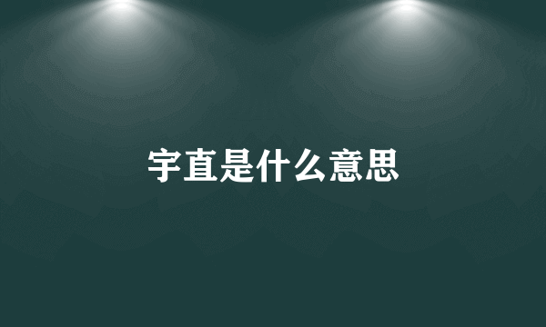 宇直是什么意思