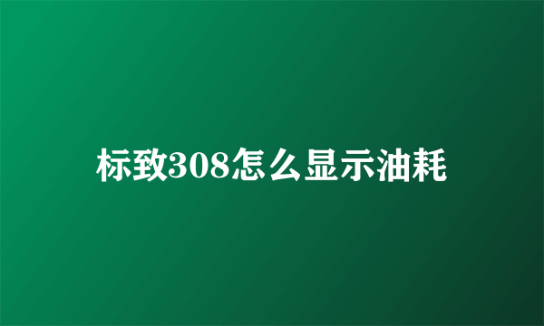 标致308怎么显示油耗