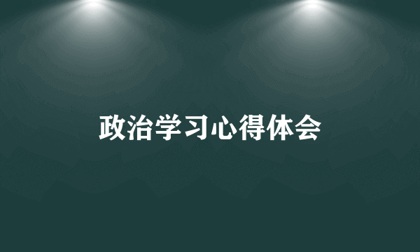 政治学习心得体会