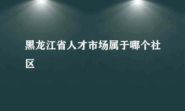 黑龙江省人才市场属于哪个社区