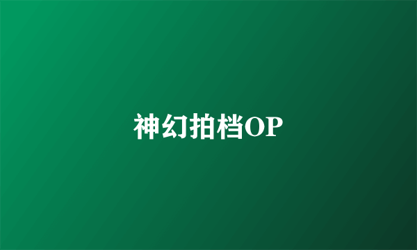 神幻拍档OP