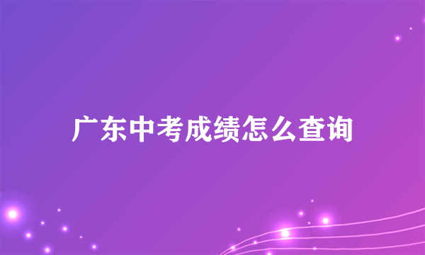 广东中考成绩怎么查询