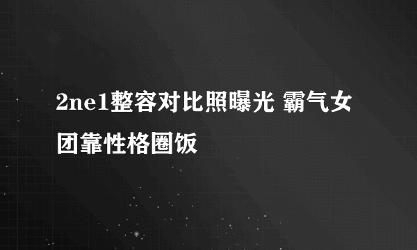 2ne1整容对比照曝光 霸气女团靠性格圈饭