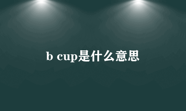 b cup是什么意思