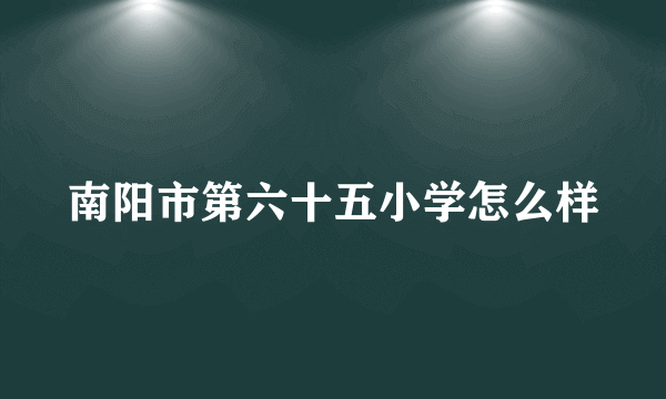 南阳市第六十五小学怎么样