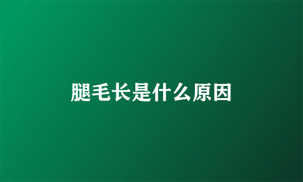 腿毛长是什么原因