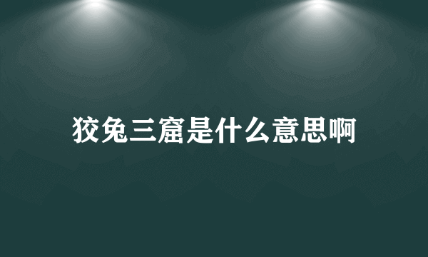 狡兔三窟是什么意思啊