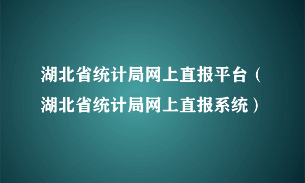 湖北省统计局网上直报平台（湖北省统计局网上直报系统）