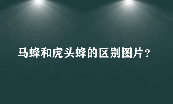 马蜂和虎头蜂的区别图片？