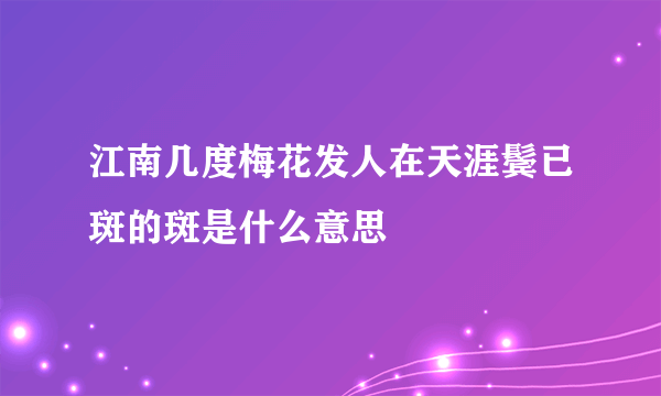 江南几度梅花发人在天涯鬓已斑的斑是什么意思