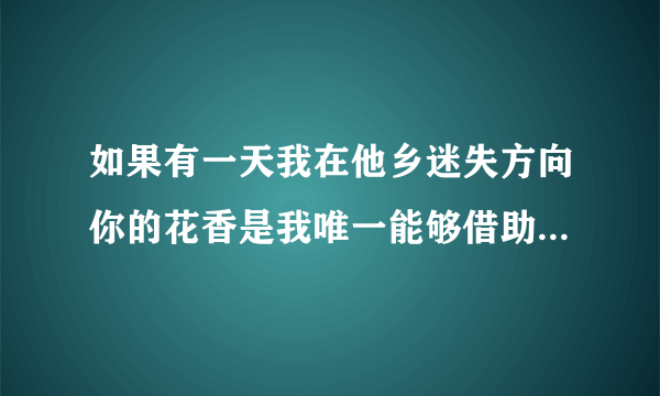 如果有一天我在他乡迷失方向你的花香是我唯一能够借助的翅膀~!~!!这首歌的名字叫什么????跪求找了3个月了