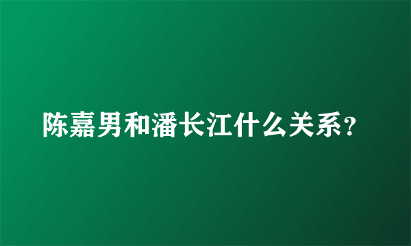 陈嘉男和潘长江什么关系？