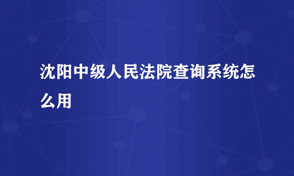 沈阳中级人民法院查询系统怎么用