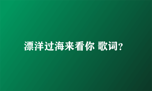 漂洋过海来看你 歌词？