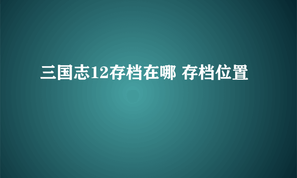 三国志12存档在哪 存档位置