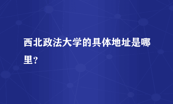 西北政法大学的具体地址是哪里？