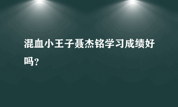 混血小王子聂杰铭学习成绩好吗？