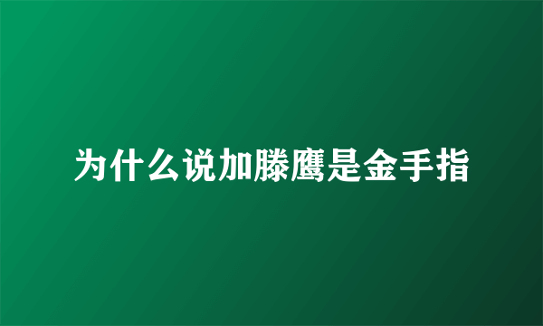 为什么说加滕鹰是金手指