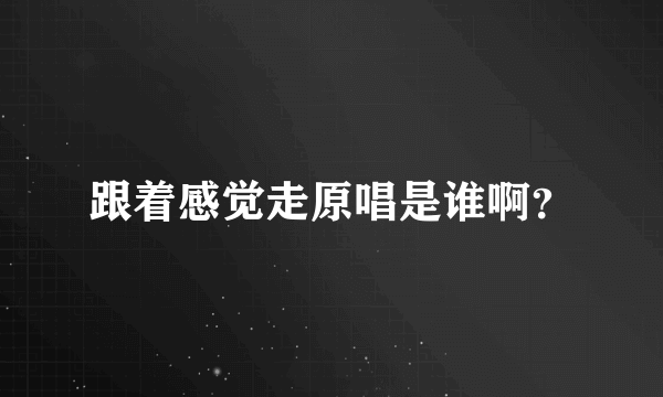 跟着感觉走原唱是谁啊？