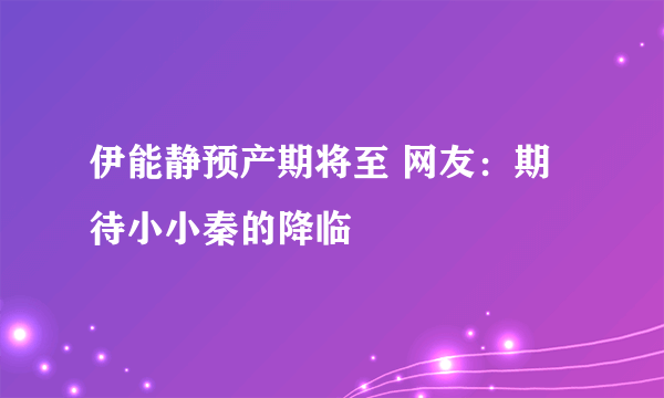 伊能静预产期将至 网友：期待小小秦的降临