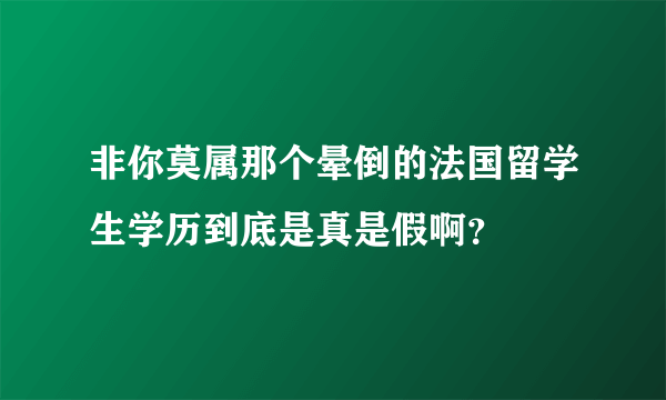 非你莫属那个晕倒的法国留学生学历到底是真是假啊？