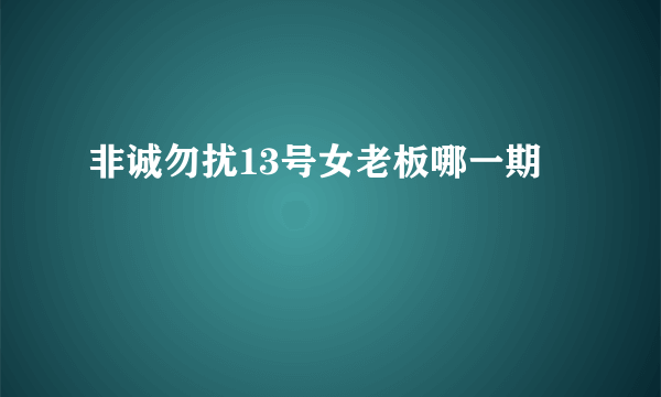 非诚勿扰13号女老板哪一期