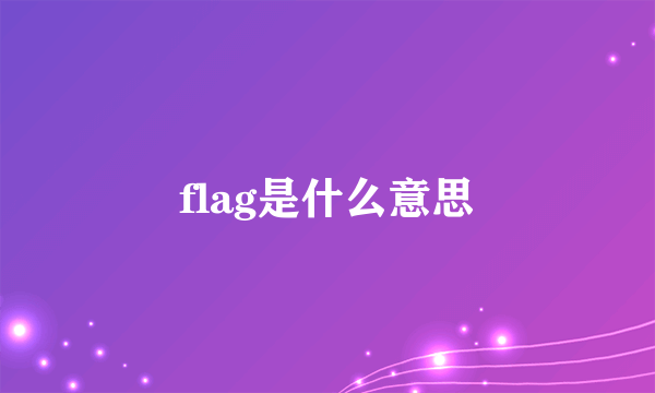 flag是什么意思