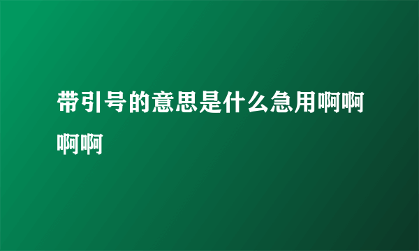 带引号的意思是什么急用啊啊啊啊