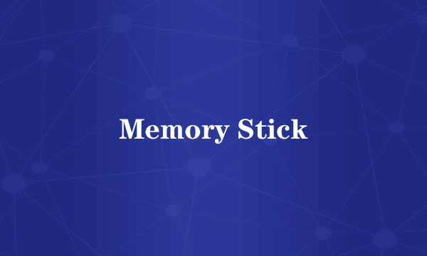 Memory Stick