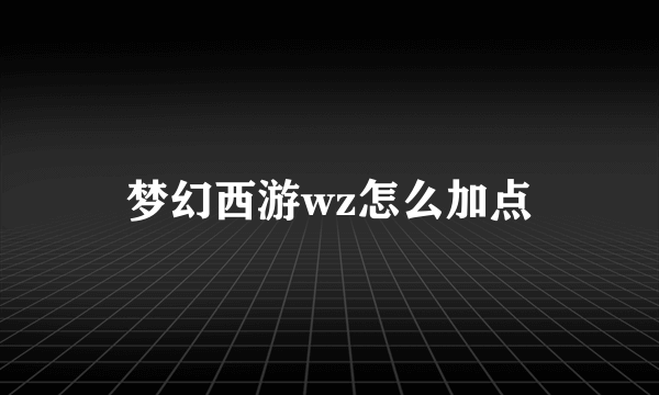 梦幻西游wz怎么加点