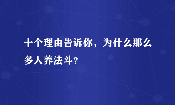 十个理由告诉你，为什么那么多人养法斗？