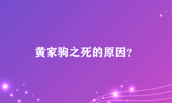 黄家驹之死的原因？