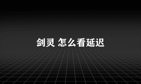 剑灵 怎么看延迟