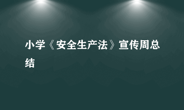 小学《安全生产法》宣传周总结