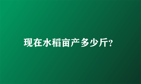 现在水稻亩产多少斤？