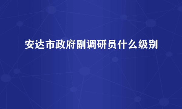 安达市政府副调研员什么级别