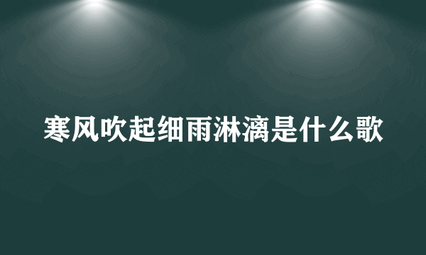 寒风吹起细雨淋漓是什么歌