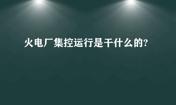 火电厂集控运行是干什么的?