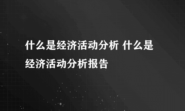 什么是经济活动分析 什么是经济活动分析报告