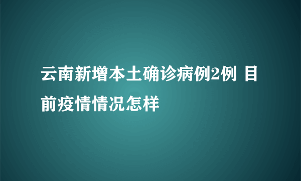 云南新增本土确诊病例2例 目前疫情情况怎样