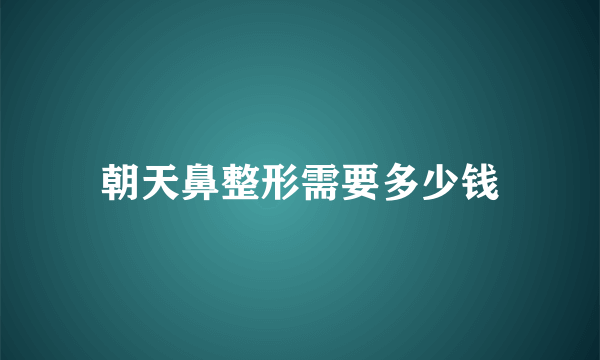 朝天鼻整形需要多少钱