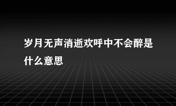 岁月无声消逝欢呼中不会醉是什么意思