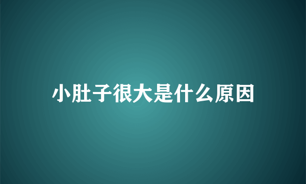 小肚子很大是什么原因