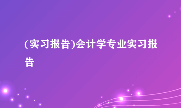 (实习报告)会计学专业实习报告