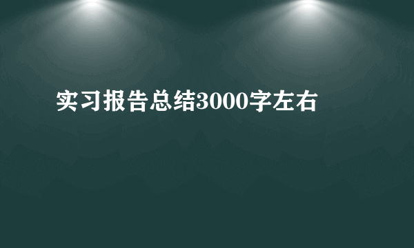 实习报告总结3000字左右