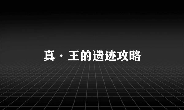 真·王的遗迹攻略