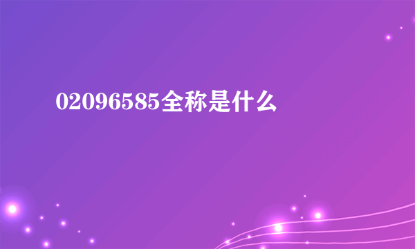 02096585全称是什么