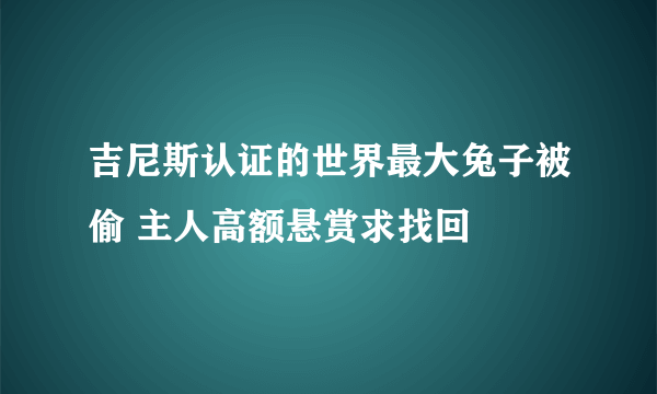 吉尼斯认证的世界最大兔子被偷 主人高额悬赏求找回